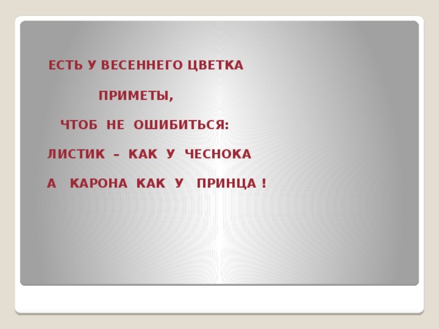 ЕСТЬ У ВЕСЕННЕГО ЦВЕТКА   ПРИМЕТЫ,   ЧТОБ НЕ ОШИБИТЬСЯ:   ЛИСТИК – КАК У ЧЕСНОКА   А КАРОНА КАК У ПРИНЦА !