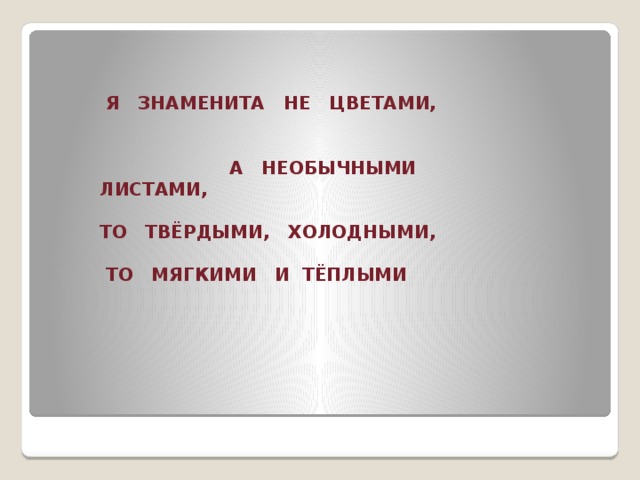 Я ЗНАМЕНИТА НЕ ЦВЕТАМИ,   А НЕОБЫЧНЫМИ ЛИСТАМИ,  ТО ТВЁРДЫМИ, ХОЛОДНЫМИ,   ТО МЯГКИМИ И ТЁПЛЫМИ