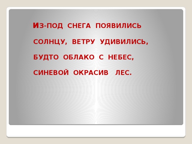 и З-ПОД СНЕГА ПОЯВИЛИСЬ   СОЛНЦУ, ВЕТРУ УДИВИЛИСЬ,   БУДТО ОБЛАКО С НЕБЕС,   СИНЕВОЙ ОКРАСИВ ЛЕС.
