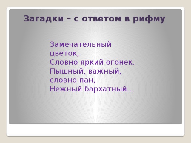 Загадки – с ответом в рифму Замечательный цветок,  Словно яркий огонек.  Пышный, важный, словно пан,  Нежный бархатный...