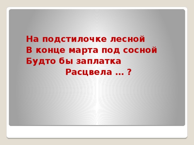 На подстилочке лесной   В конце марта под сосной  Будто бы заплатка     Расцвела … ?