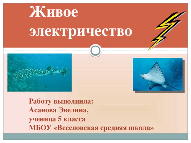 Электричество в живых организмах проект 7 класс