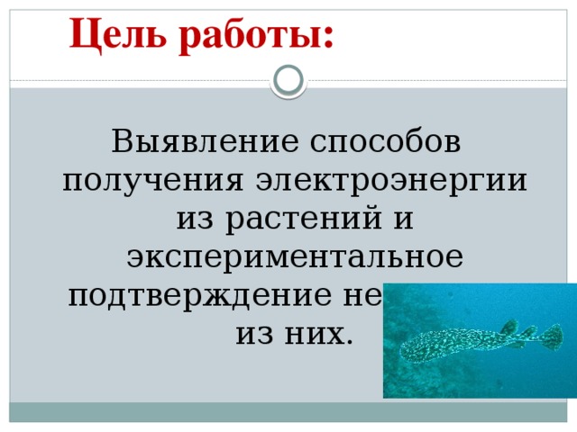 Цель работы: Выявление способов получения электроэнергии из растений и экспериментальное подтверждение некоторых из них.