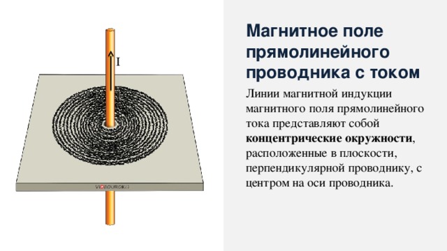 Магнитное поле прямолинейного проводника с током I Линии магнитной индукции магнитного поля прямолинейного тока представляют собой концентрические окружности , расположенные в плоскости, перпендикулярной проводнику, с центром на оси проводника. 