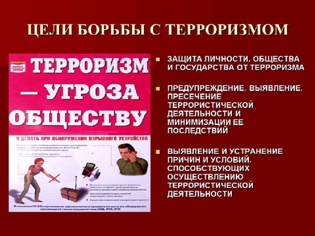 Цель проекта терроризм