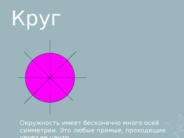 Окружность имеет осей симметрии