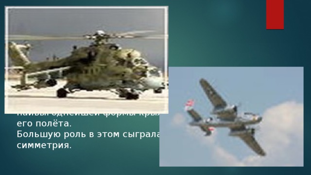 На заре развития авиации наши знаменитые учёные Н. Е. Жуковский и С. А. Чаплыгин исследовали полёт птиц, чтобы сделать выводы относительно наивыгоднейшей формы крыла и условий его полёта. Большую роль в этом сыграла, конечно, симметрия.