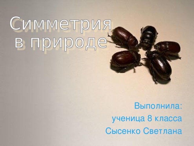 Выполнила: ученица 8 класса Сысенко Светлана