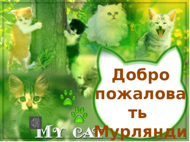 Добро пожаловать Мурляндию!