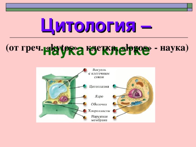 Цитология –  наука о клетке (от греч. « kytos » - клетка , « logos » - наука) 