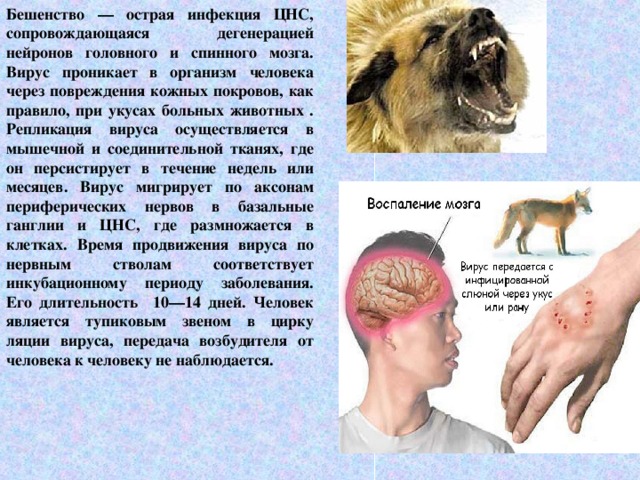 Перейти на страницу с картинкой
