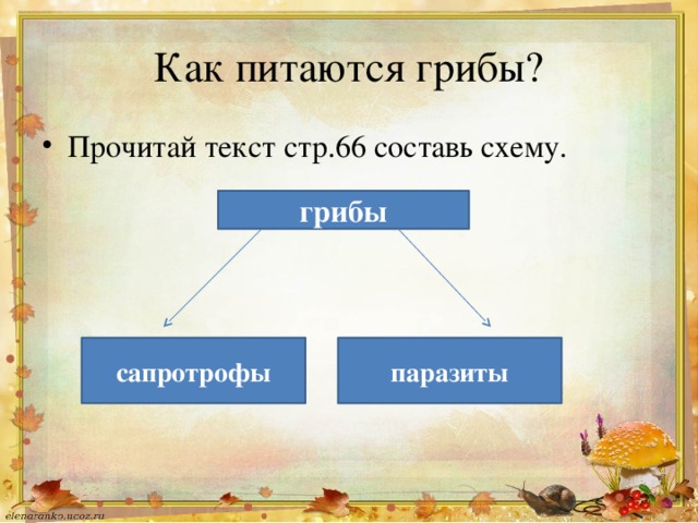 На горе грибы схема предложения