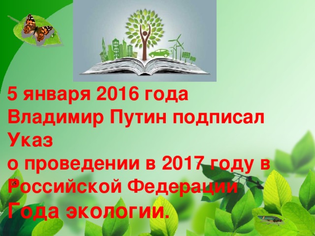 5 января 2016 года  Владимир Путин подписал  Указ  о проведении в 2017 году в Российской Федерации   Года экологии .  
