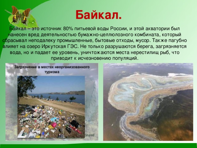Байкал.   Байкал – это источник 80% питьевой воды России, и этой акватории был нанесен вред деятельностью бумажно-целлюлозного комбината, который сбрасывал неподалеку промышленные, бытовые отходы, мусор. Также пагубно влияет на озеро Иркутская ГЭС. Не только разрушаются берега, загрязняется вода, но и падает ее уровень, уничтожаются места нерестилищ рыб, что приводит к исчезновению популяций.  
