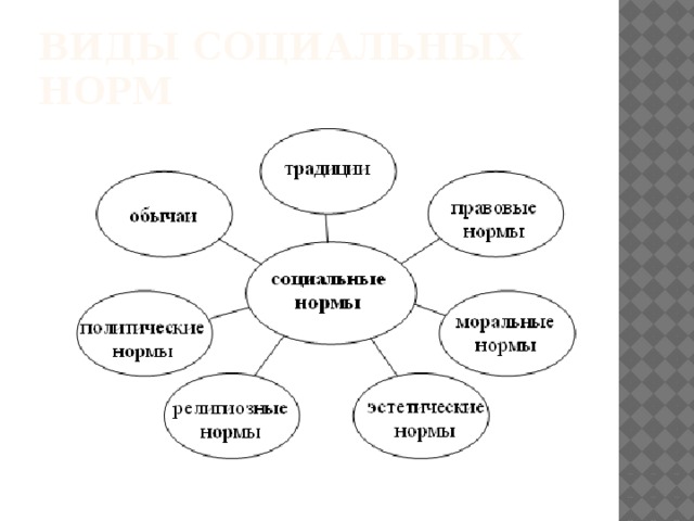 Социальные статусы и роли 8 класс