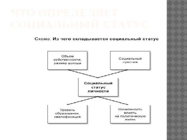 План социальный статус и социальная роль обществознание егэ