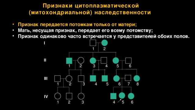 Цитоплазматическая наследственность презентация