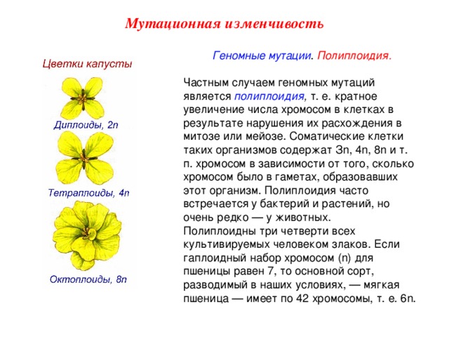 Отличия наследственности и изменчивости