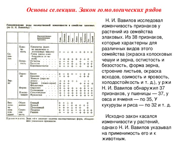 Презентация закон гомологических рядов наследственной изменчивости 10 класс