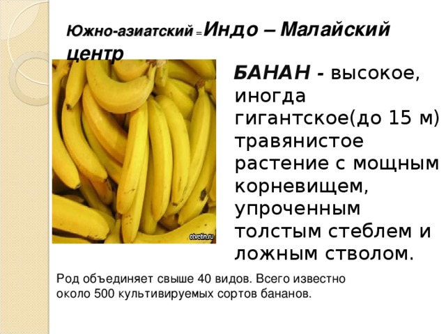 Напиши по образцу banana 5