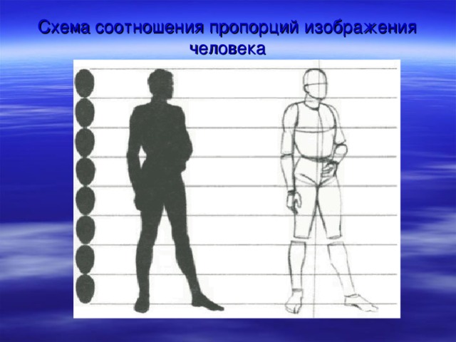 Схема соотношения пропорций изображения человека