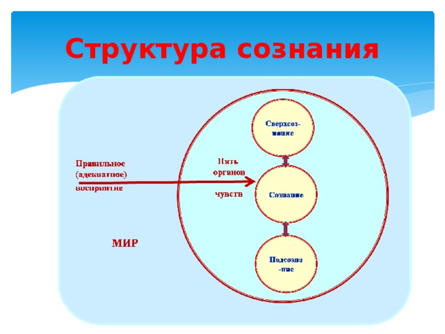 Структура сознания презентация