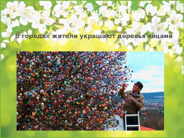 Dieser Feiertag wird gefeiert am 27. März В городах жители украшают деревья яйцами 