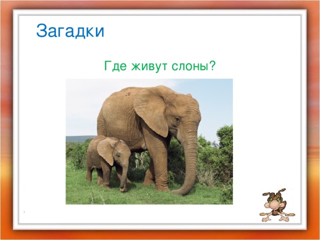 Презентация по окружающему миру 1 класс где живут слоны