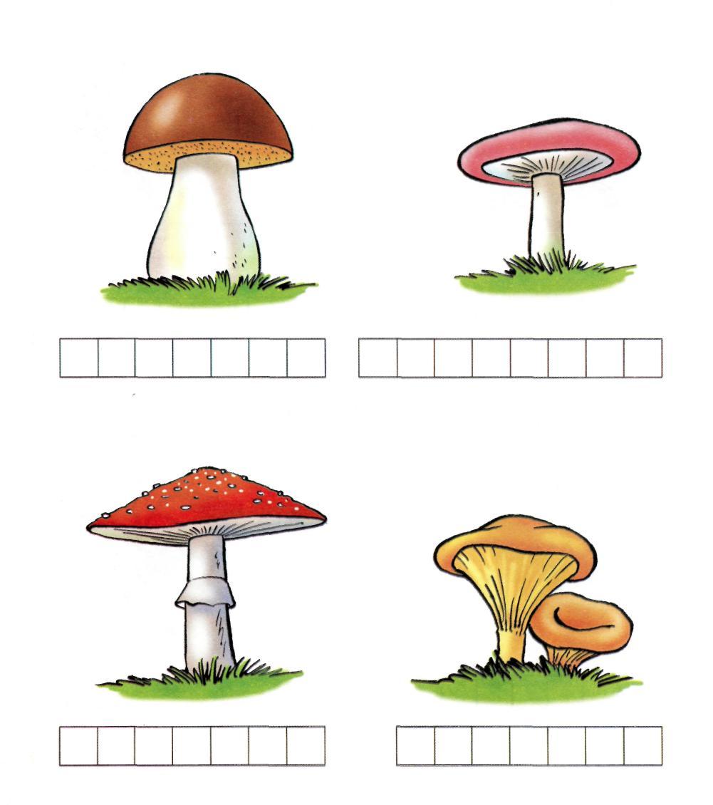 Задания для детей 5-6 лет на тему грибы