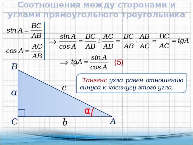 Соотношения между сторонами и углами прямоугольного треугольника