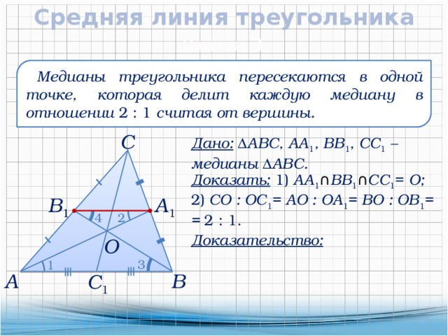 Средняя линия делит