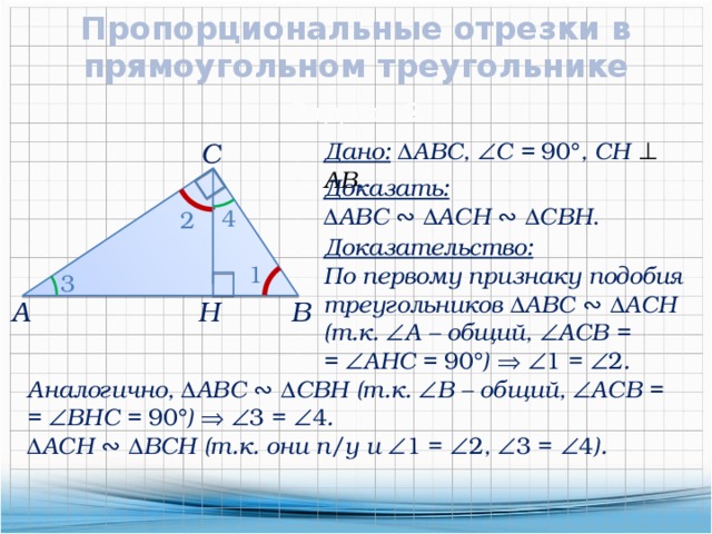 Пропорциональные отрезки в прямоугольном треугольнике