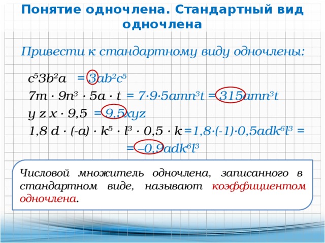 Проект по алгебре 7 класс на тему одночлены и многочлены 7 класс