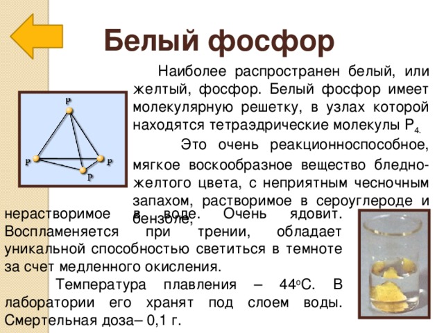 Белый фосфор  Наиболее распространен белый, или желтый, фосфор. Белый фосфор имеет молекулярную решетку, в узлах которой находятся тетраэдрические молекулы Р 4.  Это очень реакционноспособное, мягкое воскообразное вещество бледно-желтого цвета, с неприятным чесночным запахом, растворимое в сероуглероде и бензоле, Наиболее распространен белый, или желтый, фосфор. Белый фосфор имеет молекулярную решетку, в узлах которой находятся тетраэдрические молекулы Р 4.  Это очень реакционноспособное, мягкое воскообразное вещество бледно-желтого цвета, с неприятным чесночным запахом, растворимое в сероуглероде и бензоле, нерастворимое в воде. Очень ядовит. Воспламеняется при трении, обладает уникальной способностью светиться в темноте за счет медленного окисления.  Температура плавления – 44 о С. В лаборатории его хранят под слоем воды. Смертельная доза– 0,1 г.  