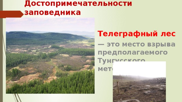Достопримечательности заповедника Телеграфный лес — это место взрыва предполагаемого Тунгусского метеорита.