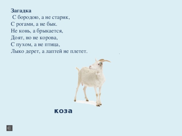 Козочка на небе 7 букв. Загадка про козу для детей. Загадка про корову. Загадка про быка. Загадки про животных коза.