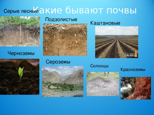 Презентация по окружающему миру в 3 классе "Свойства почвы