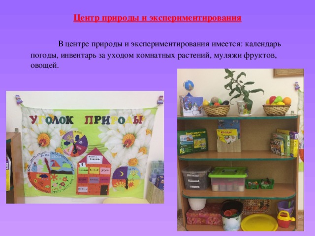 Центр природы и экспериментирования  В центре природы и экспериментирования имеется: календарь погоды, инвентарь за уходом комнатных растений, муляжи фруктов, овощей.  