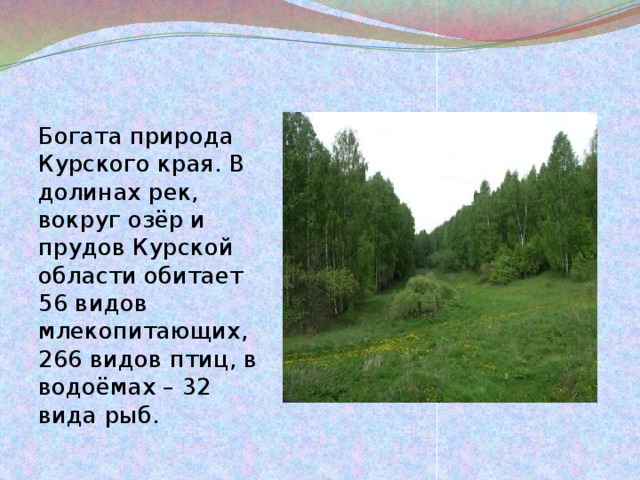 Разнообразие природы курского края 3 класс окружающий мир проект