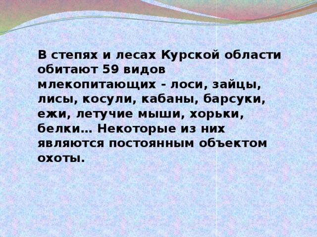 В степях и лесах Курской области обитают 59 видов млекопитающих - лоси, зайцы, лисы, косули, кабаны, барсуки, ежи, летучие мыши, хорьки, белки… Некоторые из них являются постоянным объектом охоты. 