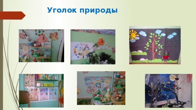 Уголок природы 