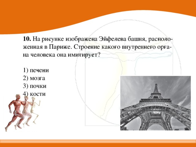 10. На ри­сун­ке изоб­ра­же­на Эй­фе­ле­ва башня, рас­по­ло­жен­ная в Па­ри­же. Стро­е­ние ка­ко­го внут­рен­не­го ор­га­на че­ло­ве­ка она ими­ти­ру­ет?   1) пе­че­ни 2) мозга 3) почки 4) кости 