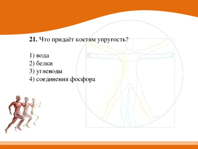 21.  Что придаёт ко­стям упру­гость?   1) вода 2) белки 3) уг­ле­во­ды 4) со­еди­не­ния фос­фо­ра 