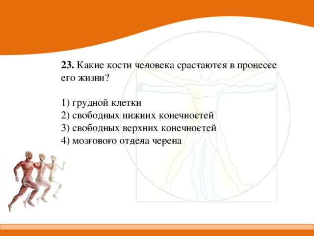 23.  Какие кости че­ло­ве­ка срас­та­ют­ся в про­цес­се его жизни?   1) груд­ной клет­ки 2) сво­бод­ных ниж­них ко­неч­но­стей 3) сво­бод­ных верх­них ко­неч­но­стей 4) моз­го­во­го от­де­ла че­ре­па 