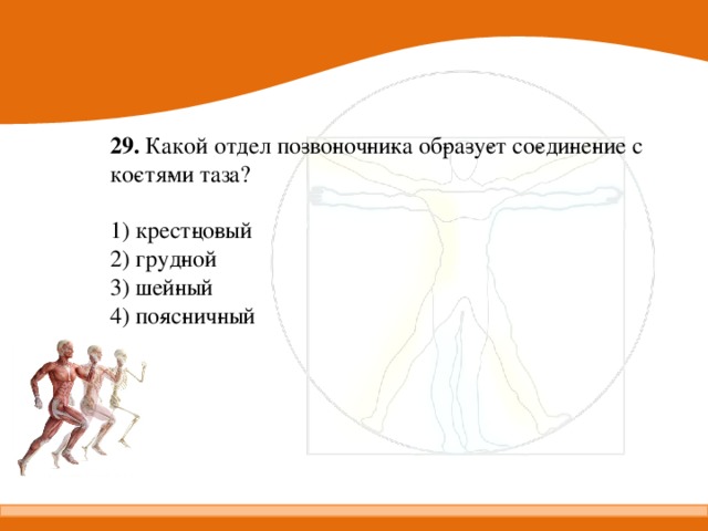 Костя какой человек. Какие кости человека срастаются в процессе его жизни. Механические функции скелета человека. К механической функции костей скелета человека относят. Что относят к механической функции костей скелета.