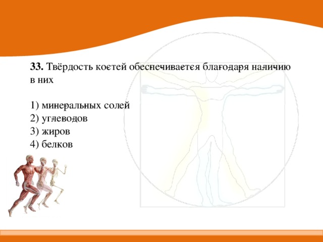 33.  Твёрдость ко­стей обес­пе­чи­ва­ет­ся бла­го­да­ря на­ли­чию в них   1) ми­не­раль­ных солей 2) уг­ле­во­дов 3) жиров 4) бел­ков 