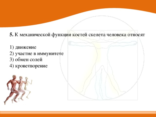 5.  К ме­ха­ни­че­ской функ­ции ко­стей ске­ле­та че­ло­ве­ка от­но­сят   1) дви­же­ние 2) уча­стие в им­му­ни­те­те 3) обмен солей 4) кро­ве­тво­ре­ние 