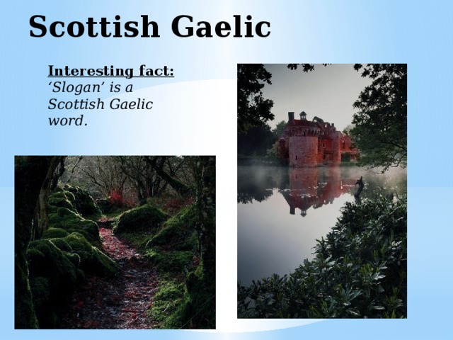 Scottish Gaelic  Interesting fact: ‘Slogan’ is a Scottish Gaelic word.  