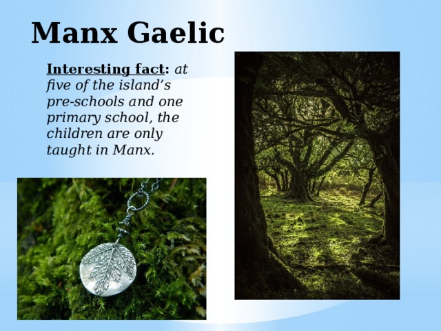 Manx Gaelic  Interesting fact : at five of the island’s pre-schools and one primary school, the children are only taught in Manx.   