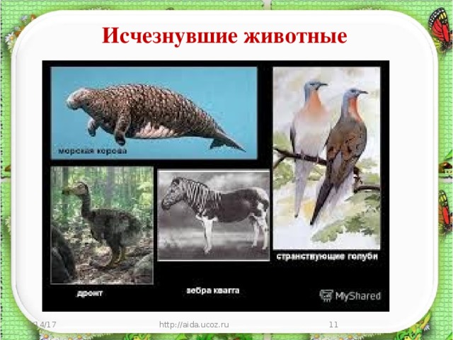 Исчезнувшие животные 3/14/17 http://aida.ucoz.ru  